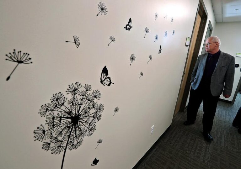 Rocking Horse debuts 300K drug treatment area Springfield NewsSun